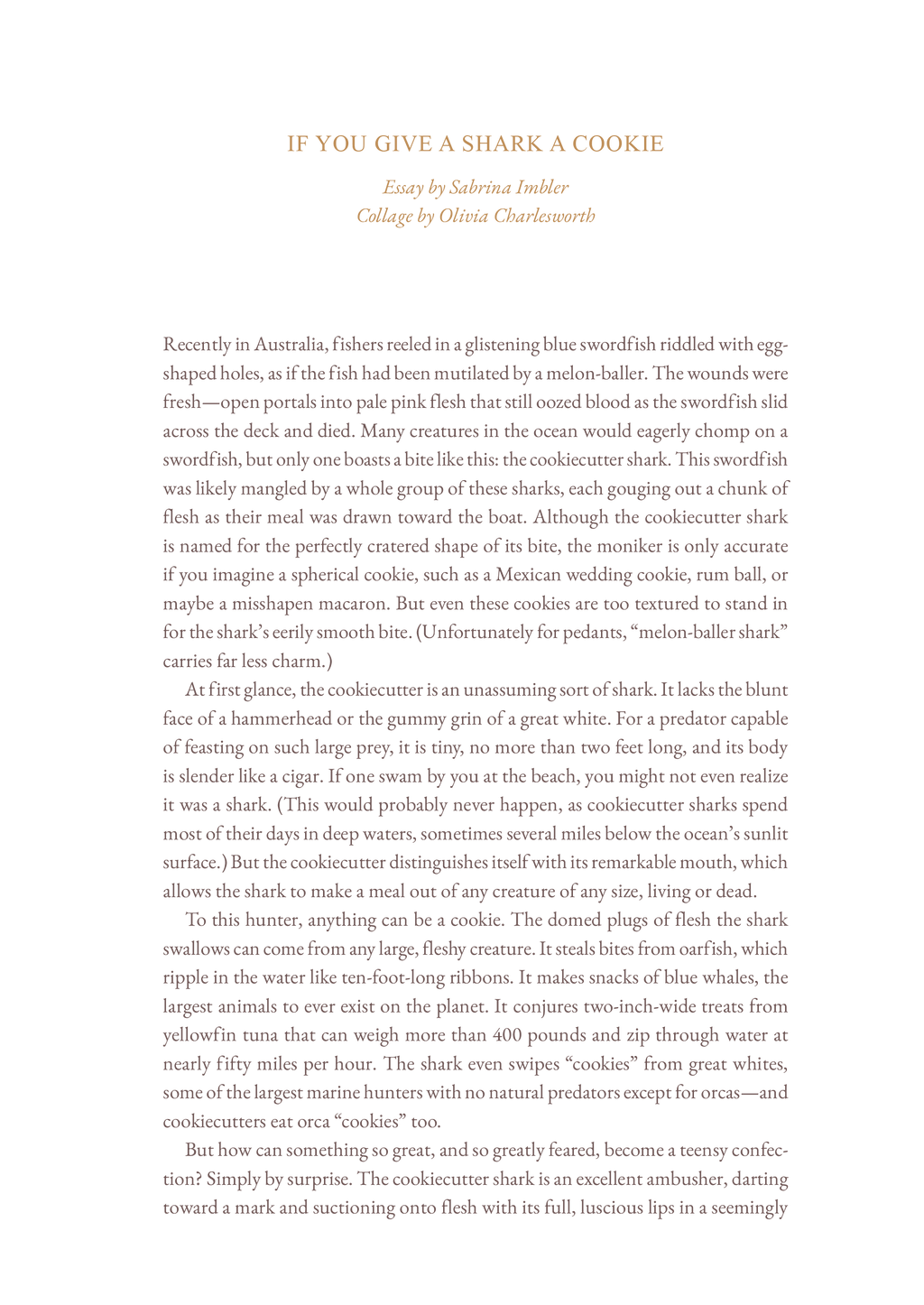 Volume 4: Tough Cookie