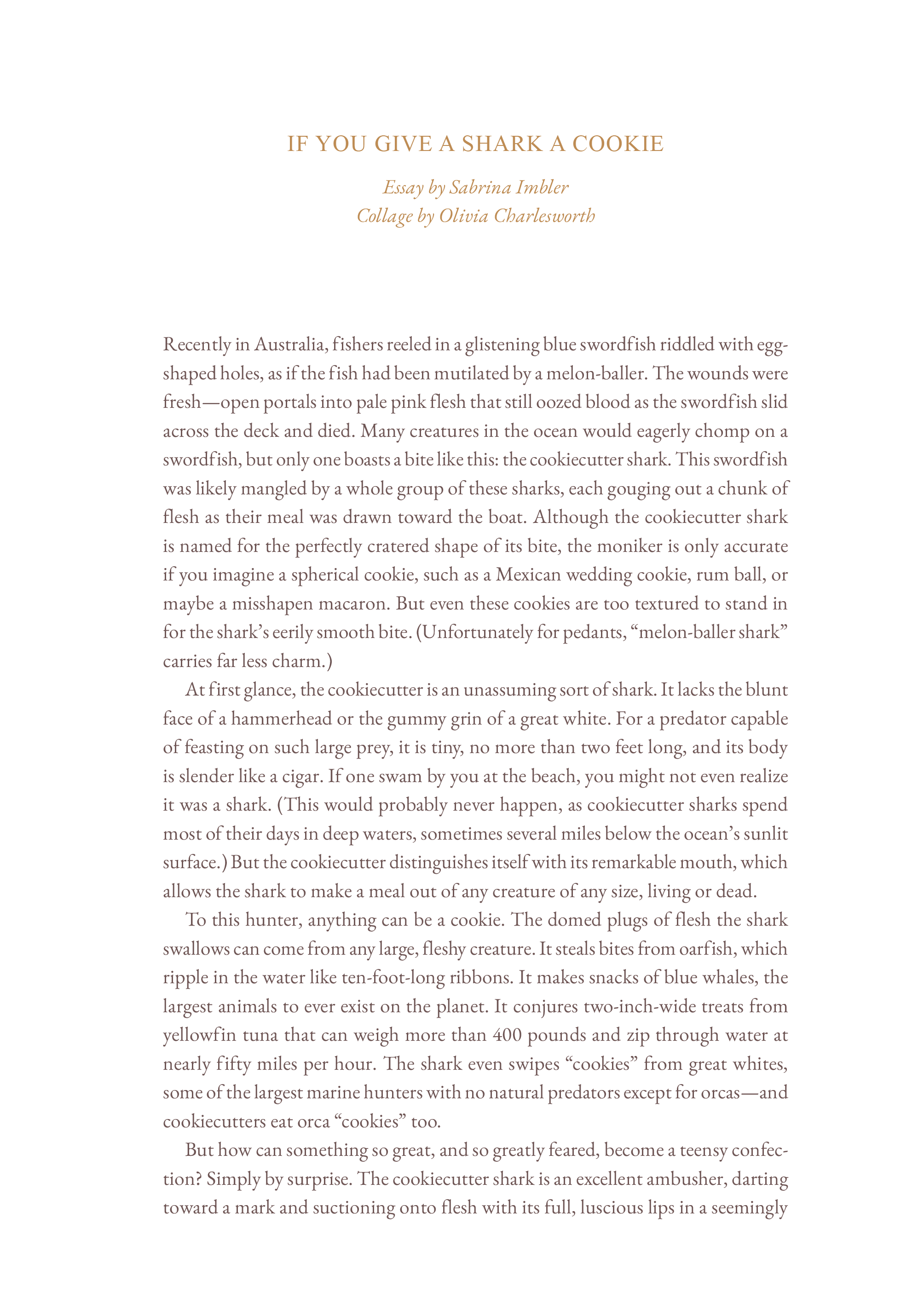 Volume 4: Tough Cookie