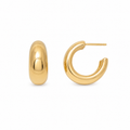 Rounded Hoop Earrings